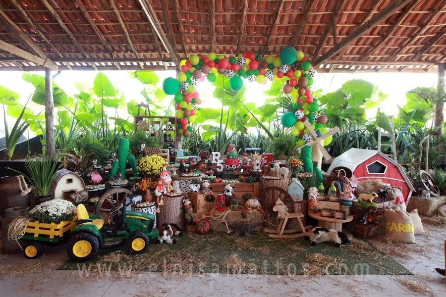 RAPHAEL B. RAPHE 5 ANOS – “FESTA NA FAZENDA” - Eloisa Mattos