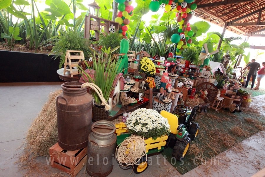 RAPHAEL B. RAPHE 5 ANOS – “FESTA NA FAZENDA” - Eloisa Mattos