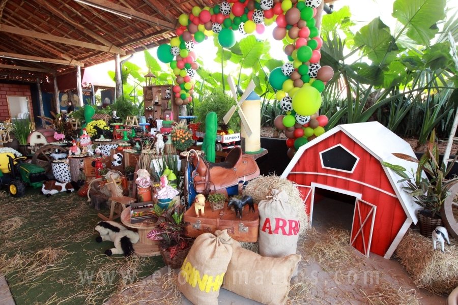 RAPHAEL B. RAPHE 5 ANOS – “FESTA NA FAZENDA” - Eloisa Mattos