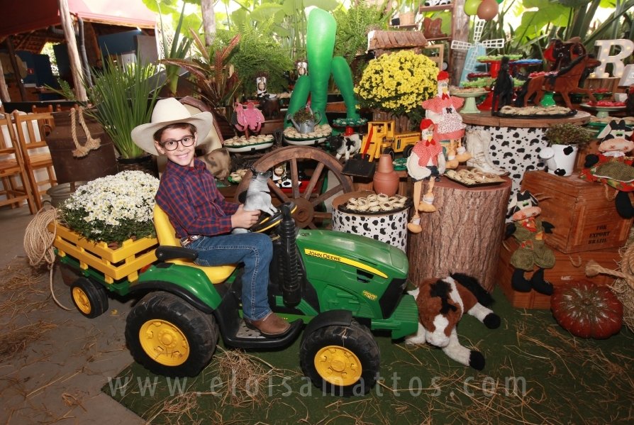 RAPHAEL B. RAPHE 5 ANOS – “FESTA NA FAZENDA” - Eloisa Mattos