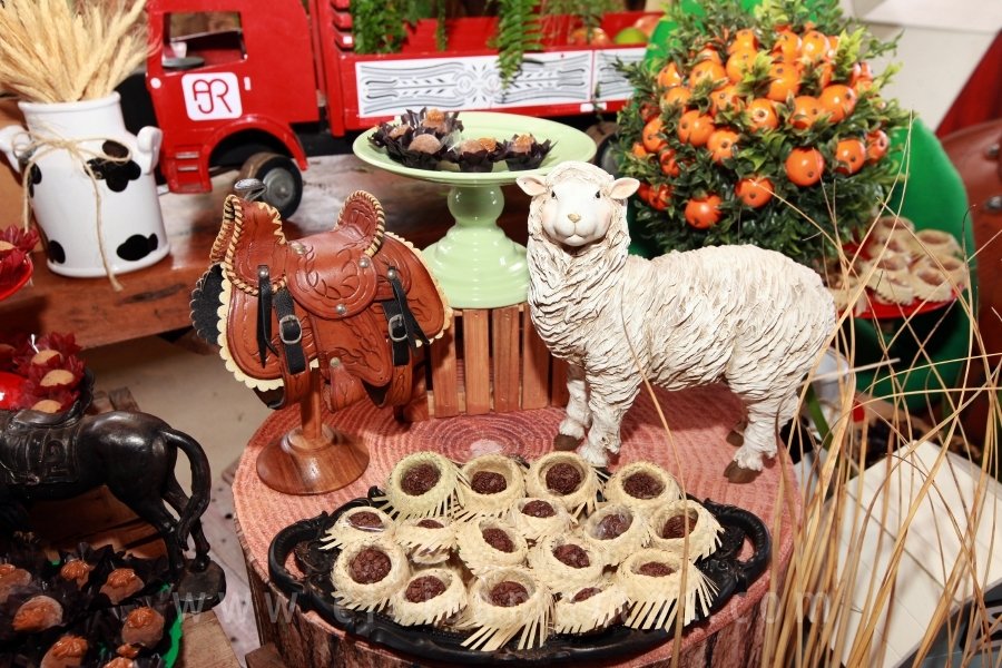 RAPHAEL B. RAPHE 5 ANOS – “FESTA NA FAZENDA” - Eloisa Mattos
