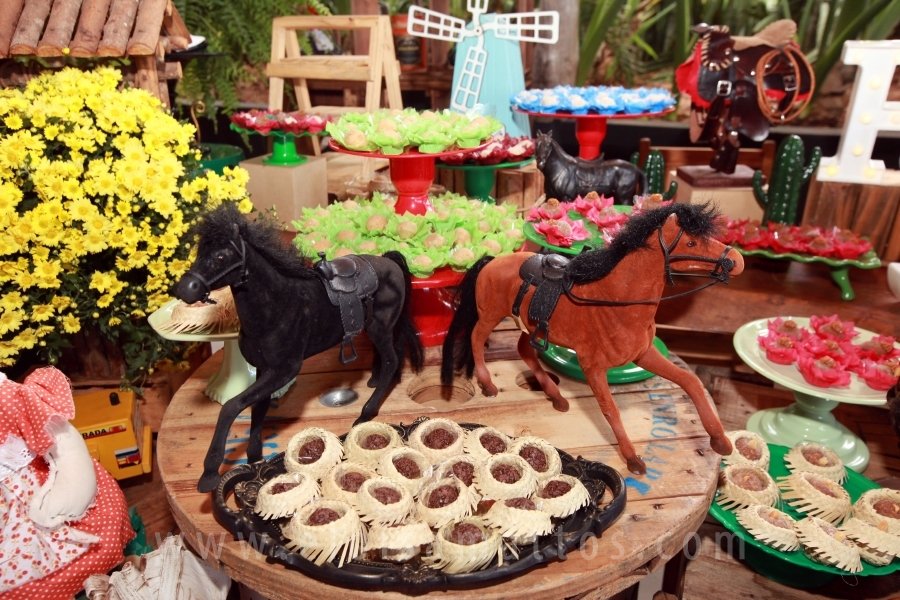 RAPHAEL B. RAPHE 5 ANOS – “FESTA NA FAZENDA” - Eloisa Mattos