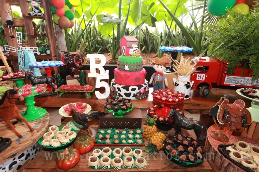 RAPHAEL B. RAPHE 5 ANOS – “FESTA NA FAZENDA” - Eloisa Mattos