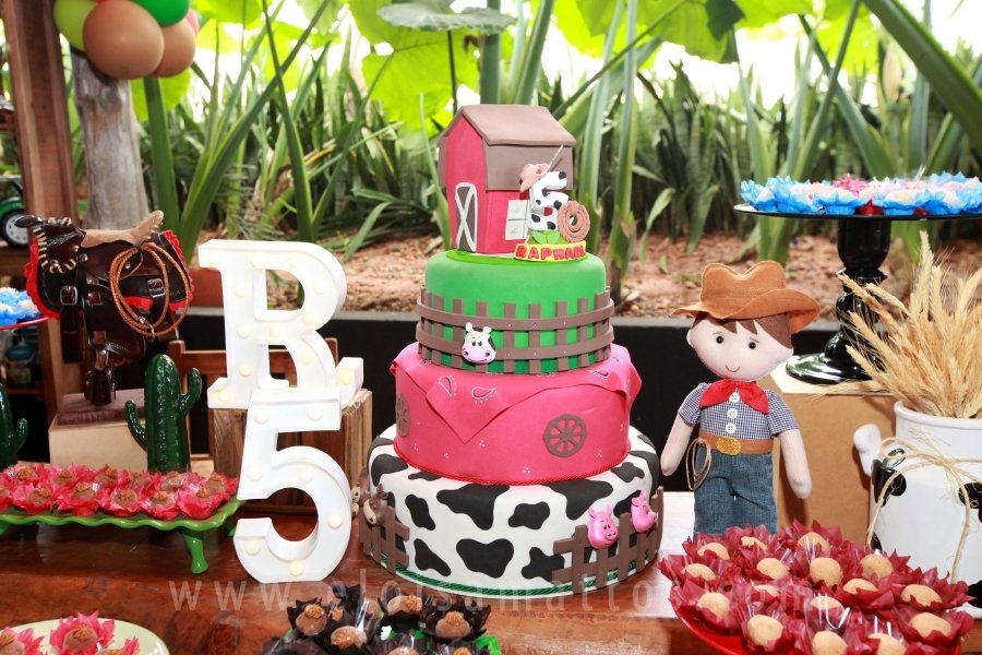 RAPHAEL B. RAPHE 5 ANOS – “FESTA NA FAZENDA” - Eloisa Mattos