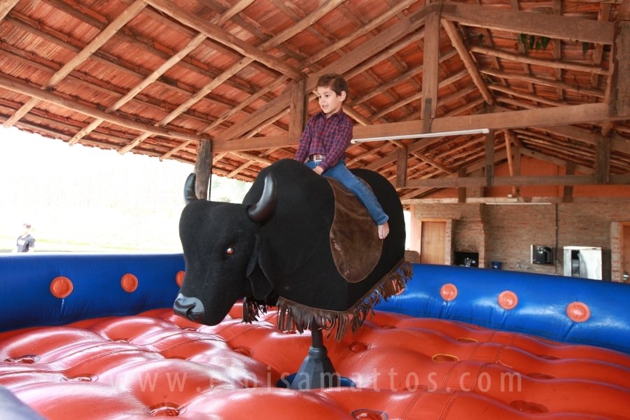 RAPHAEL B. RAPHE 5 ANOS – “FESTA NA FAZENDA” - Eloisa Mattos