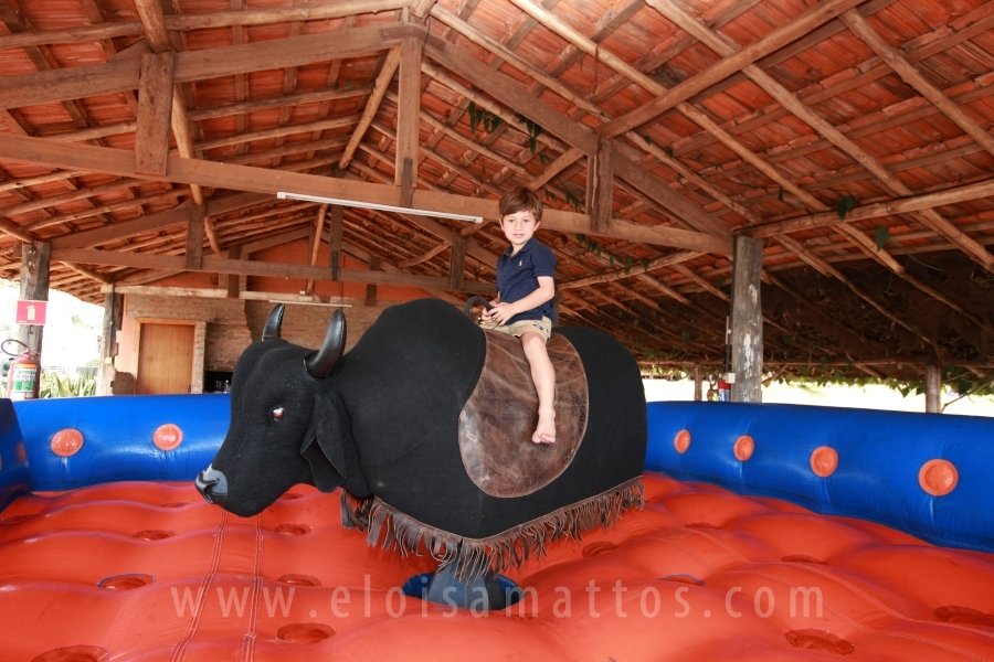 RAPHAEL B. RAPHE 5 ANOS – “FESTA NA FAZENDA” - Eloisa Mattos