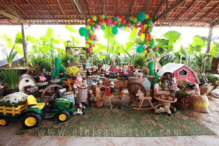 RAPHAEL B. RAPHE 5 ANOS – “FESTA NA FAZENDA” - Eloisa Mattos