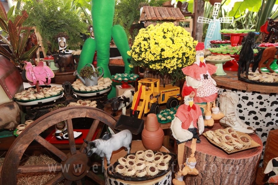 RAPHAEL B. RAPHE 5 ANOS – “FESTA NA FAZENDA” - Eloisa Mattos