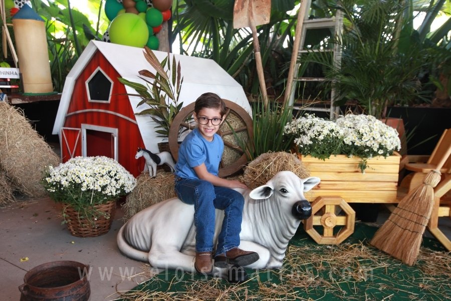 RAPHAEL B. RAPHE 5 ANOS – “FESTA NA FAZENDA” - Eloisa Mattos