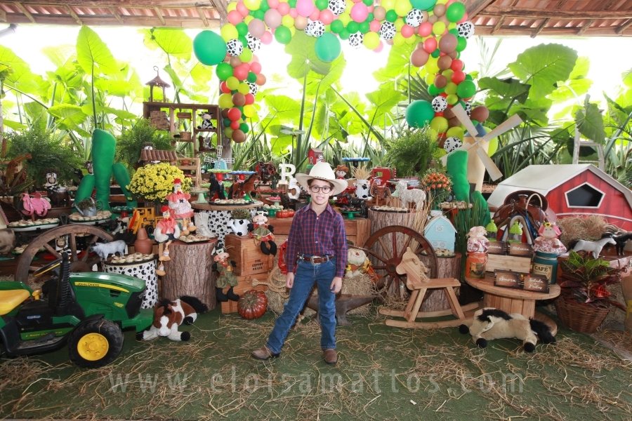 RAPHAEL B. RAPHE 5 ANOS – “FESTA NA FAZENDA” - Eloisa Mattos