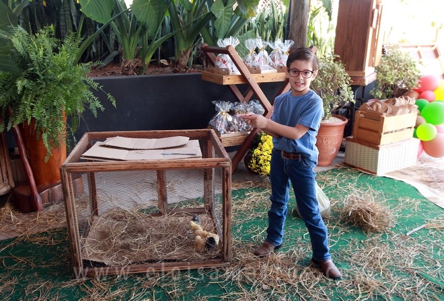 RAPHAEL B. RAPHE 5 ANOS – “FESTA NA FAZENDA” - Eloisa Mattos