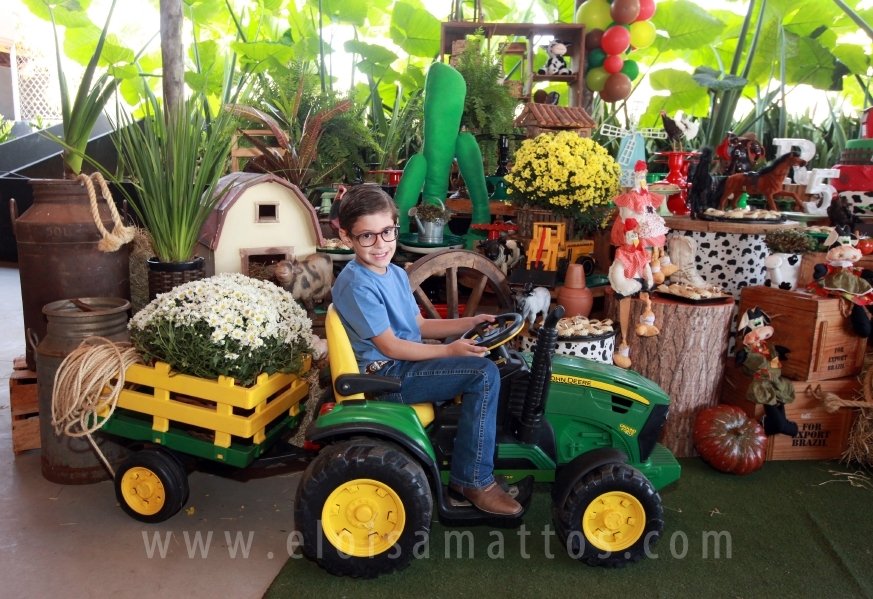 RAPHAEL B. RAPHE 5 ANOS – “FESTA NA FAZENDA” - Eloisa Mattos