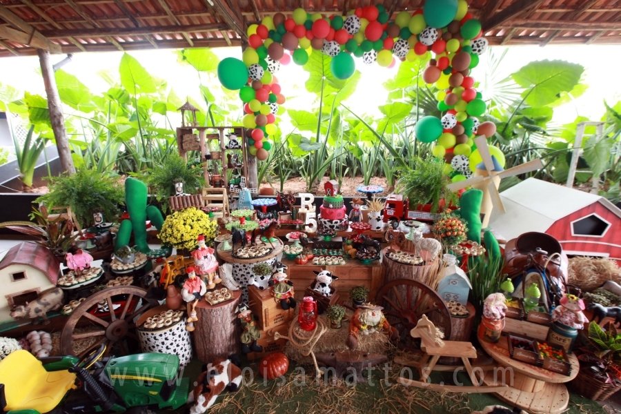 RAPHAEL B. RAPHE 5 ANOS – “FESTA NA FAZENDA” - Eloisa Mattos