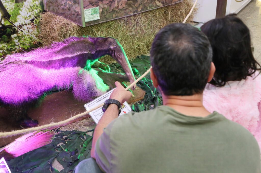 Exposição da Polícia Ambiental do Dia do Meio Ambiente – Riopreto Shopping