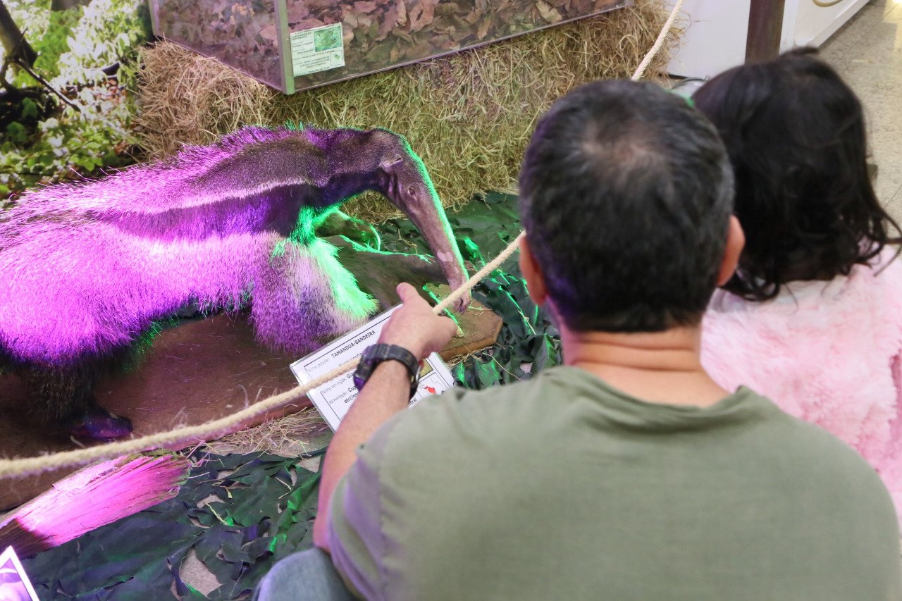 EXPOSIÇÃO DA POLÍCIA AMBIENTAL DO DIA DO MEIO AMBIENTE – RIOPRETO SHOPPING