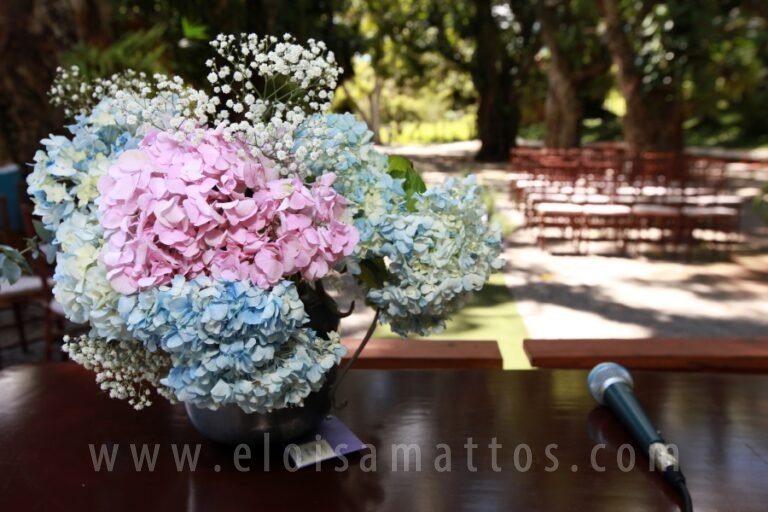 resized_ELOISAA MATTOS (21)