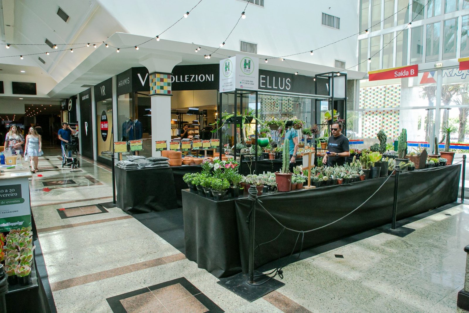 EXPOSIÇÃO NO RIOPRETO SHOPPING, REÚNE MAIS DE 300 ESPÉCIES DE SUCULENTAS E CACTOS