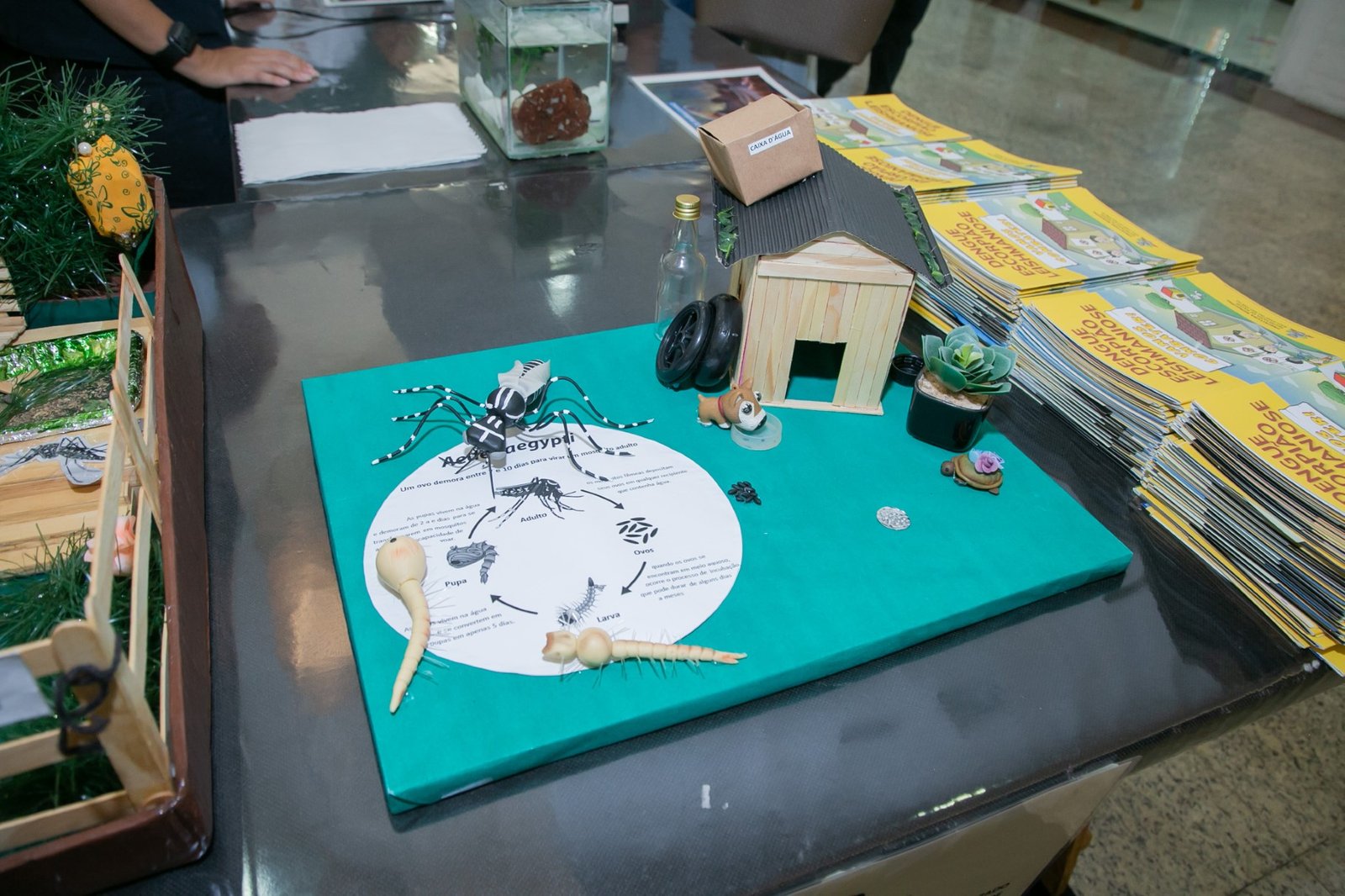 FEIRA DE EDUCAÇÃO EM SAÚDE AMBIENTAL VAI ATÉ DOMINGO NO RIOPRETO SHOPPING