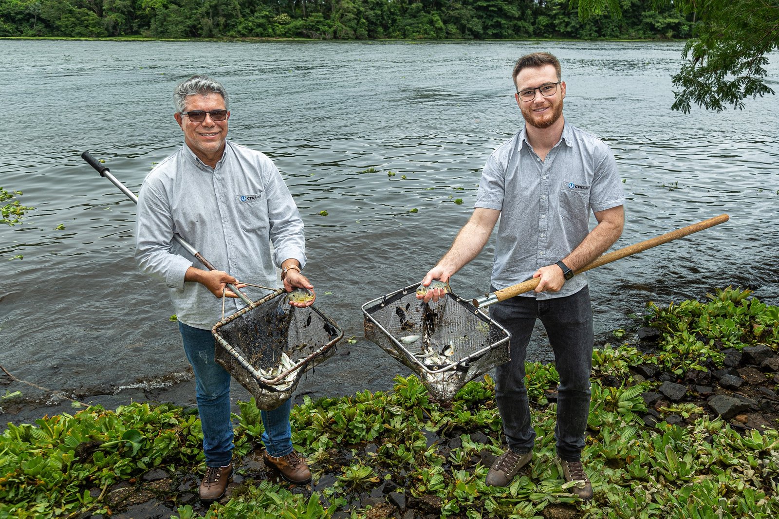 CTG BRASIL SOLTA MAIS DE 1 MILHÃO DE PEIXES NO RIO PARANÁ