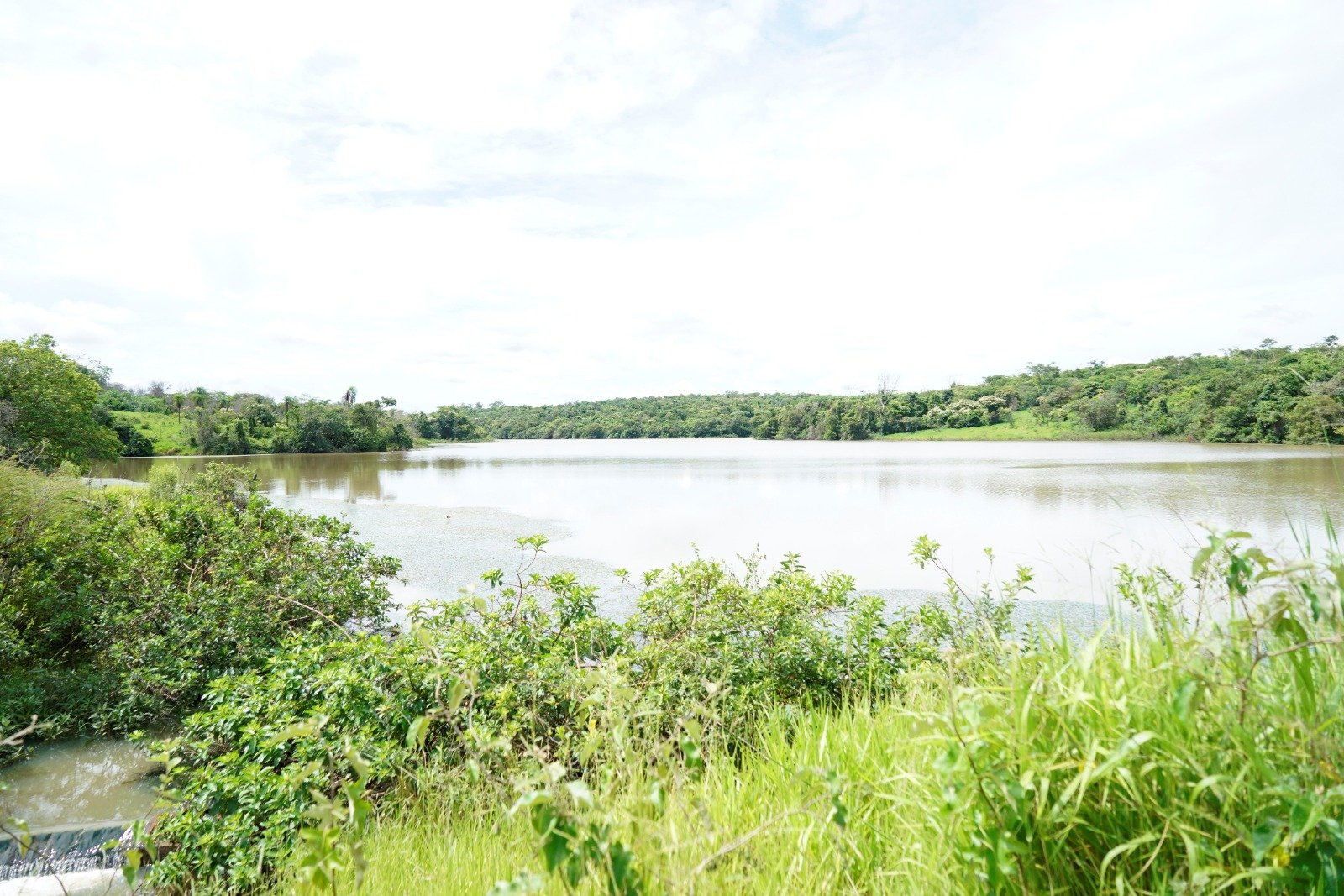 REFÚGIO VERDE – ÁREA PROTEGIDA É SANTUÁRIO QUE ABRIGA DIVERSAS ESPÉCIES