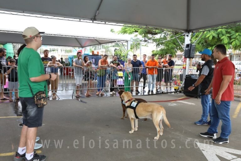 resized_ELOISA MATTOS (113)