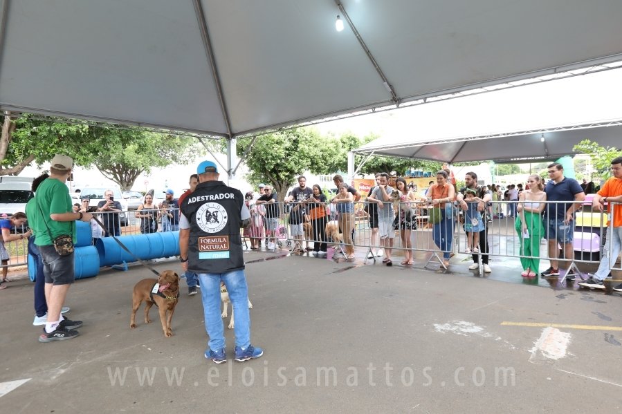 1º FOCINHO’S PET DAY -RIOPRETOSHOPPING/ELOISAMATTOS/MERCADÃOAGROPET - Eloisa Mattos