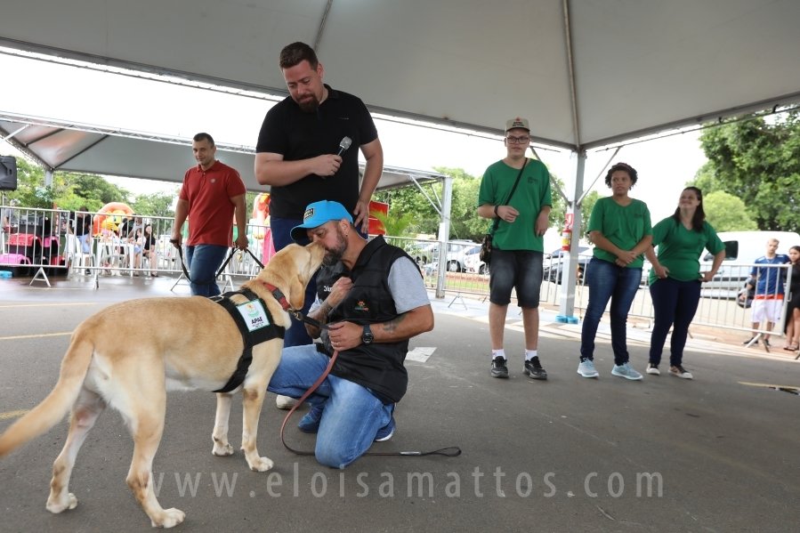 1º FOCINHO’S PET DAY -RIOPRETOSHOPPING/ELOISAMATTOS/MERCADÃOAGROPET - Eloisa Mattos