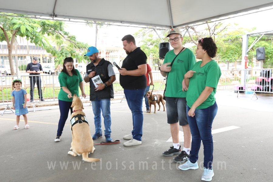 1º FOCINHO’S PET DAY -RIOPRETOSHOPPING/ELOISAMATTOS/MERCADÃOAGROPET - Eloisa Mattos
