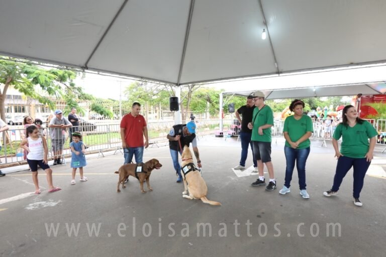 resized_ELOISA MATTOS (142)