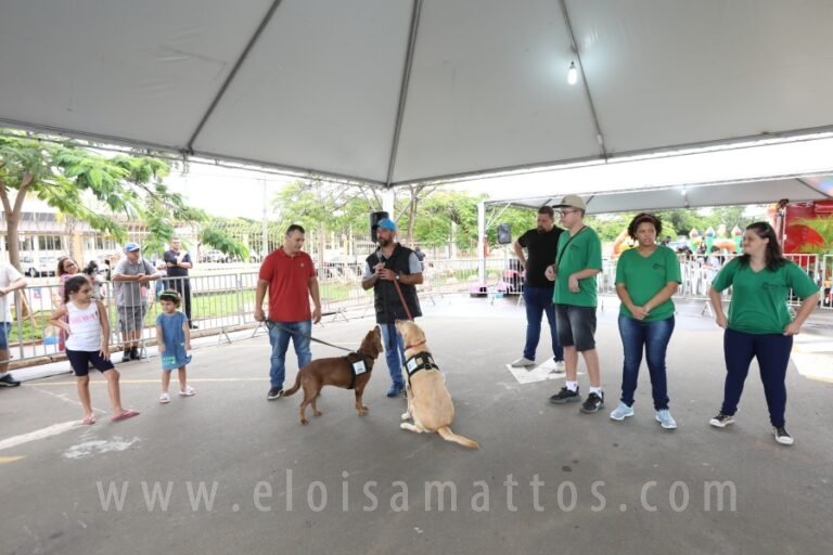 resized_ELOISA MATTOS (143)