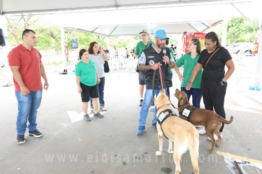 1º FOCINHO’S PET DAY -RIOPRETOSHOPPING/ELOISAMATTOS/MERCADÃOAGROPET - Eloisa Mattos
