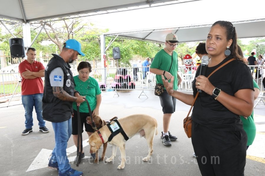 1º FOCINHO’S PET DAY -RIOPRETOSHOPPING/ELOISAMATTOS/MERCADÃOAGROPET - Eloisa Mattos