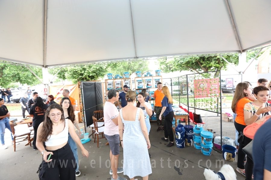 1º FOCINHO’S PET DAY -RIOPRETOSHOPPING/ELOISAMATTOS/MERCADÃOAGROPET - Eloisa Mattos