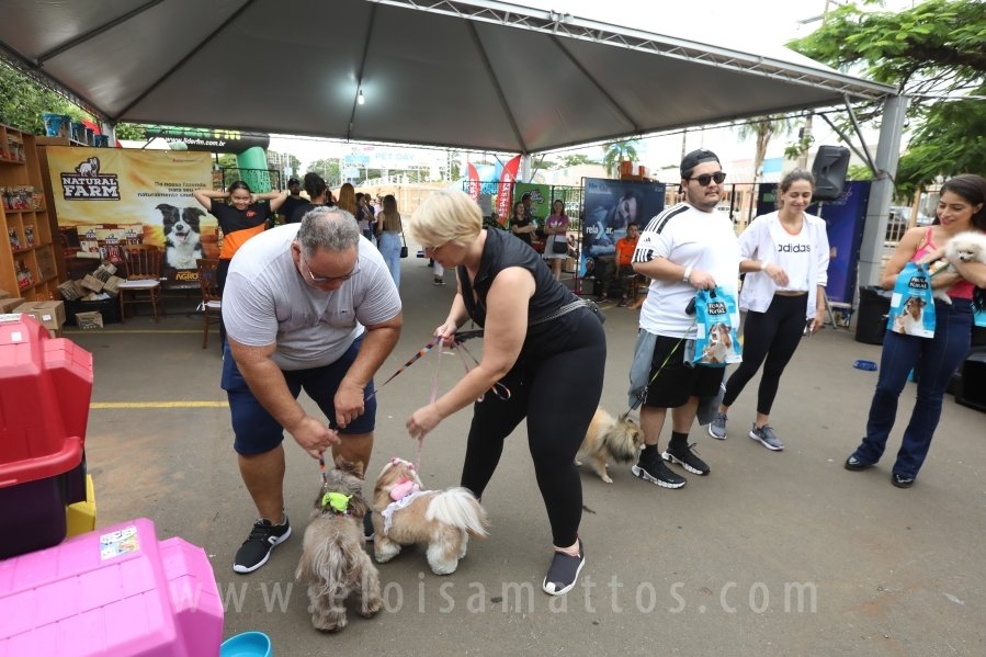 1º FOCINHO’S PET DAY -RIOPRETOSHOPPING/ELOISAMATTOS/MERCADÃOAGROPET - Eloisa Mattos