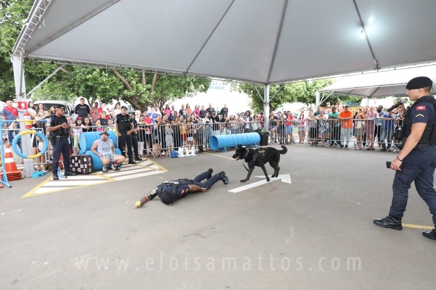 1º FOCINHO’S PET DAY -RIOPRETOSHOPPING/ELOISAMATTOS/MERCADÃOAGROPET - Eloisa Mattos