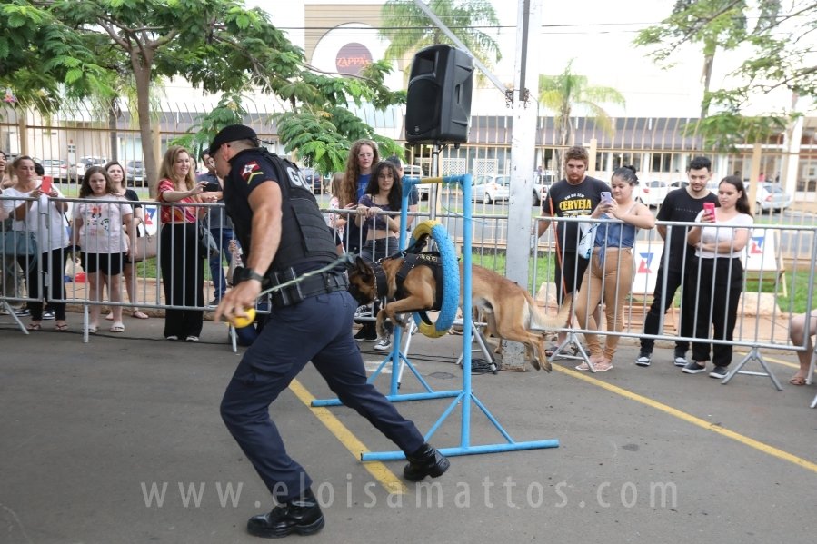 1º FOCINHO’S PET DAY -RIOPRETOSHOPPING/ELOISAMATTOS/MERCADÃOAGROPET - Eloisa Mattos