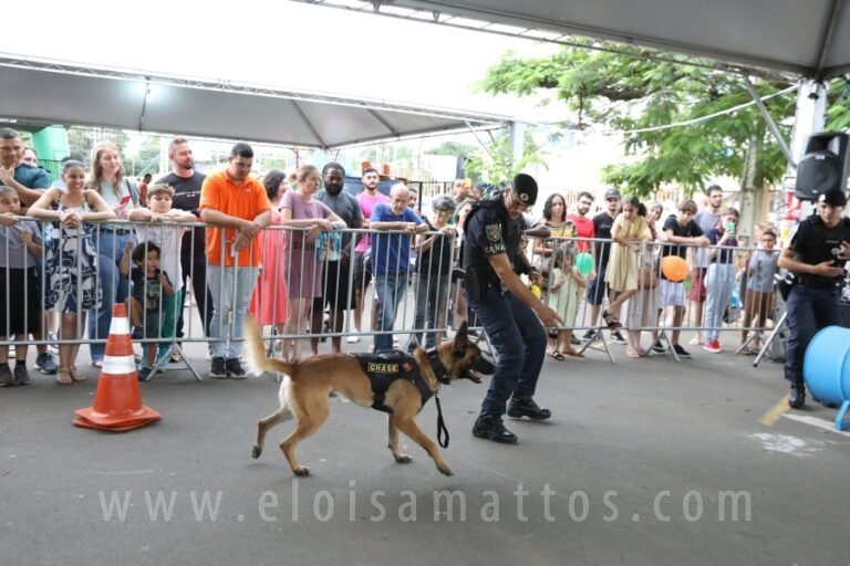resized_ELOISA MATTOS (247)