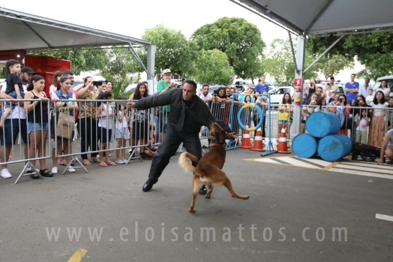 resized_ELOISA MATTOS (253)