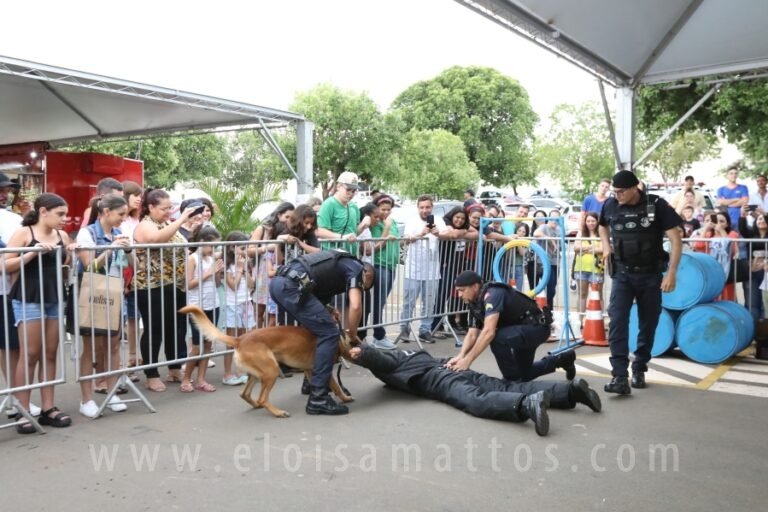 resized_ELOISA MATTOS (254)