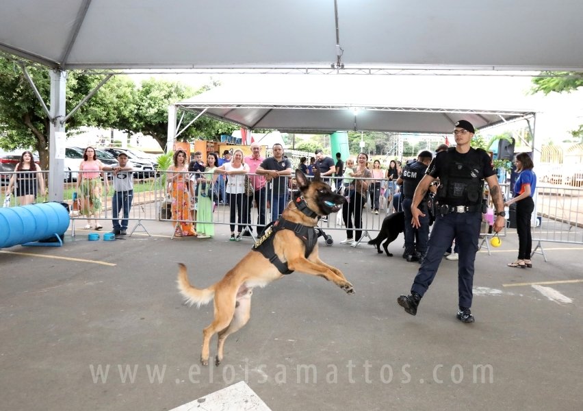 1º FOCINHO’S PET DAY -RIOPRETOSHOPPING/ELOISAMATTOS/MERCADÃOAGROPET - Eloisa Mattos