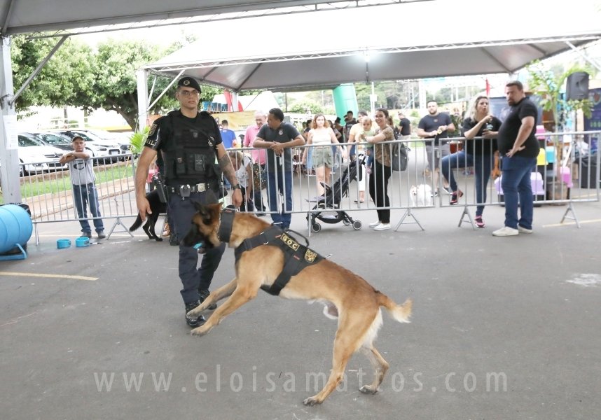 1º FOCINHO’S PET DAY -RIOPRETOSHOPPING/ELOISAMATTOS/MERCADÃOAGROPET - Eloisa Mattos