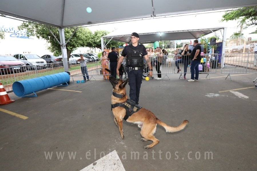1º FOCINHO’S PET DAY -RIOPRETOSHOPPING/ELOISAMATTOS/MERCADÃOAGROPET - Eloisa Mattos