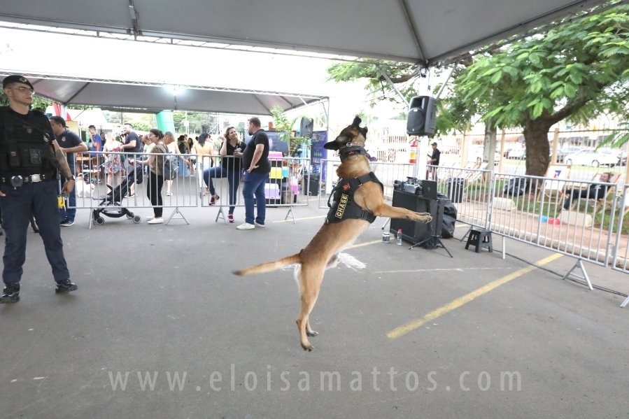 1º FOCINHO’S PET DAY -RIOPRETOSHOPPING/ELOISAMATTOS/MERCADÃOAGROPET - Eloisa Mattos