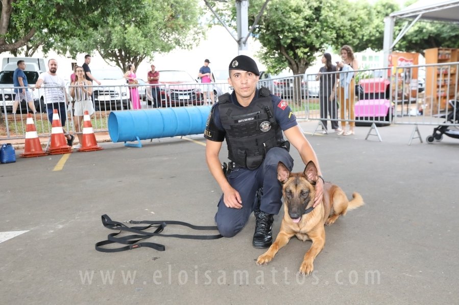 1º FOCINHO’S PET DAY -RIOPRETOSHOPPING/ELOISAMATTOS/MERCADÃOAGROPET - Eloisa Mattos