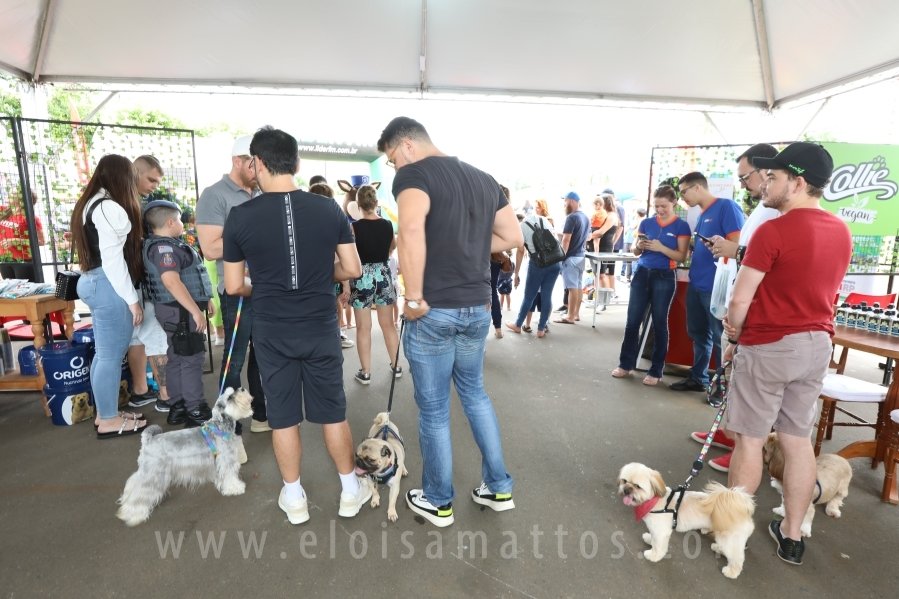 1º FOCINHO’S PET DAY -RIOPRETOSHOPPING/ELOISAMATTOS/MERCADÃOAGROPET - Eloisa Mattos