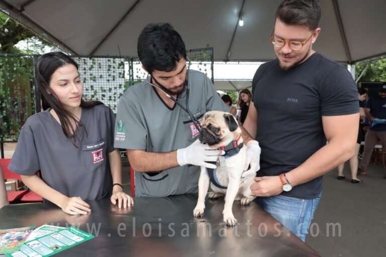 resized_ELOISA MATTOS (6)