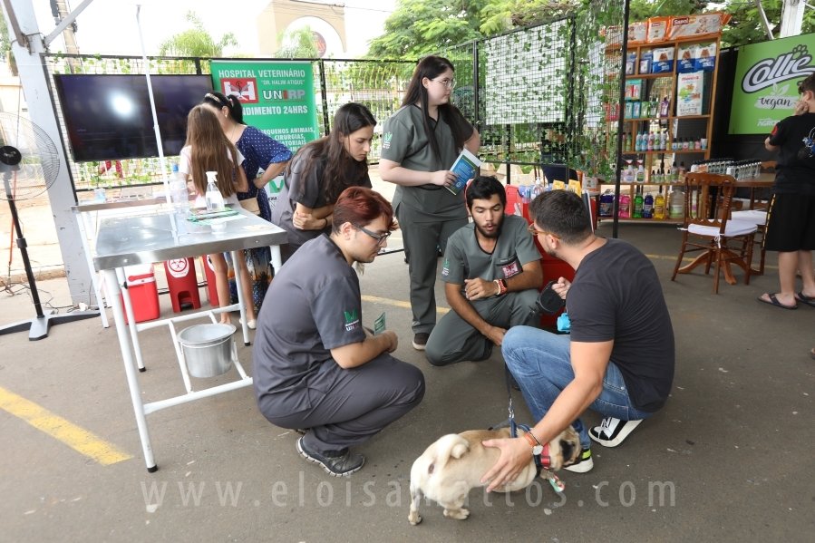 1º FOCINHO’S PET DAY -RIOPRETOSHOPPING/ELOISAMATTOS/MERCADÃOAGROPET - Eloisa Mattos