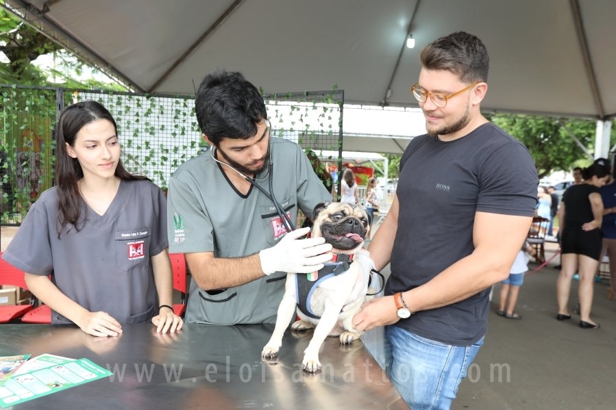 1º FOCINHO’S PET DAY -RIOPRETOSHOPPING/ELOISAMATTOS/MERCADÃOAGROPET - Eloisa Mattos