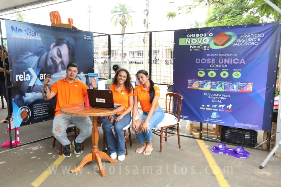 1º FOCINHO’S PET DAY -RIOPRETOSHOPPING/ELOISAMATTOS/MERCADÃOAGROPET - Eloisa Mattos