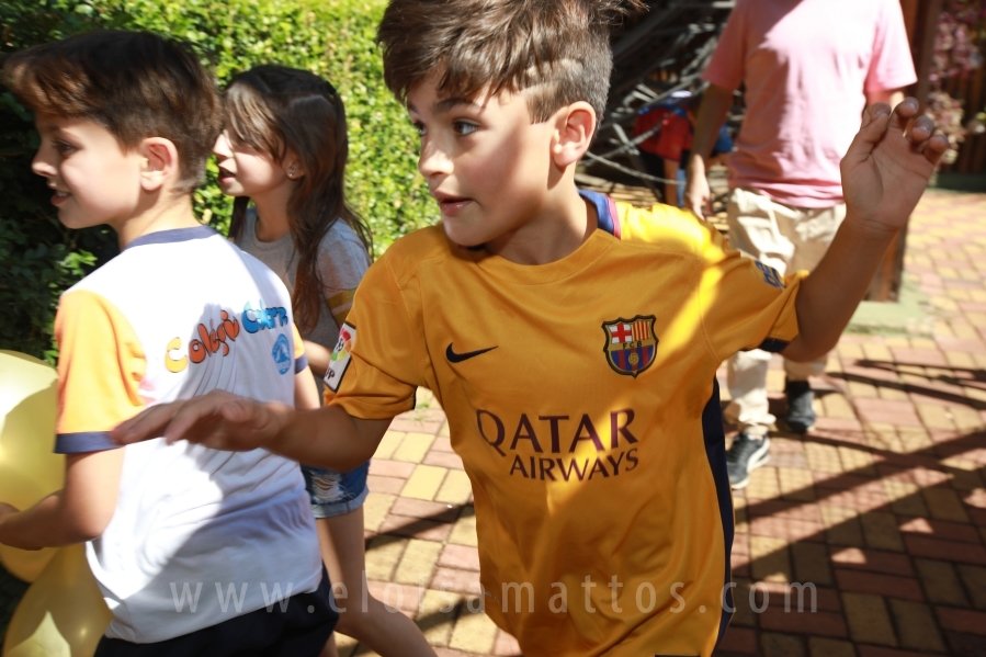 ANIVERSÁRIO DE HENRIQUE RODRIGUES TINTI – 9 ANOS - Eloisa Mattos